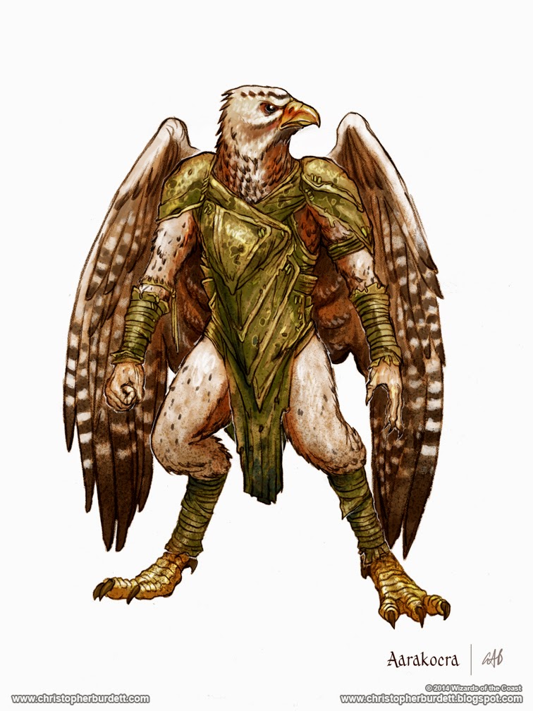 christopher burdett Monster-Manual-Aarakocra-CONCEPT02